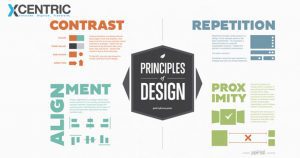 Infographics -Social Media Content