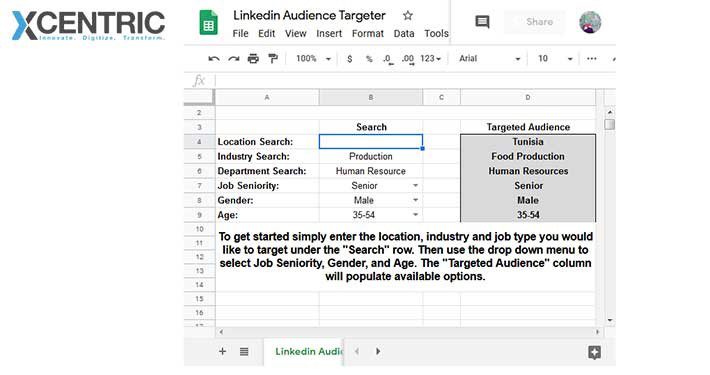 Who can you TARGET with LinkedIn Advertising