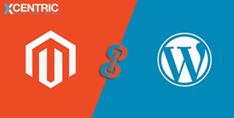 Content Management Services in Pakistan