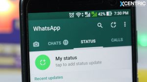 whatsapp marketing status