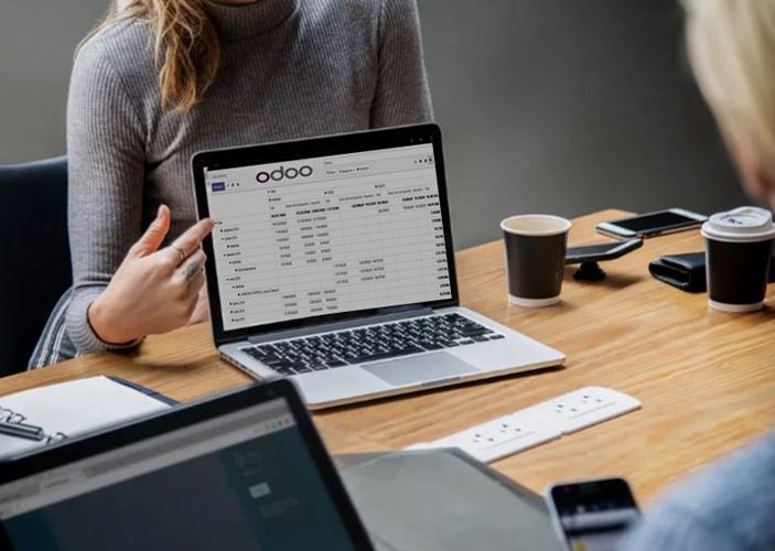 Odoo Implementation Services