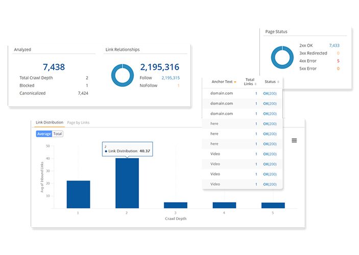 Best SEO Services in Pakistan