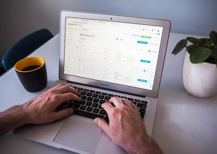 Best SEO Services for Small Business