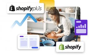 Shopify Developers