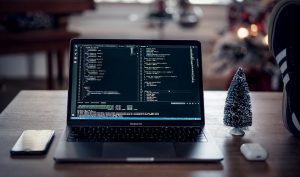 Web Development Services