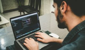 Web Development Services