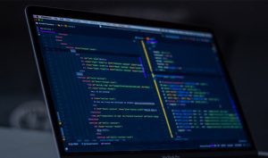 web development services