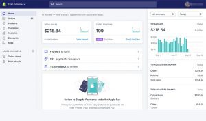Custom Shopify Website