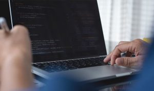 Web Development Services