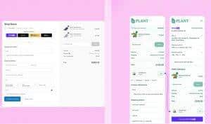 Hire Shopify Web Developer