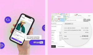 Shopify Development Agency