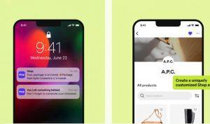Shopify Developer Support
